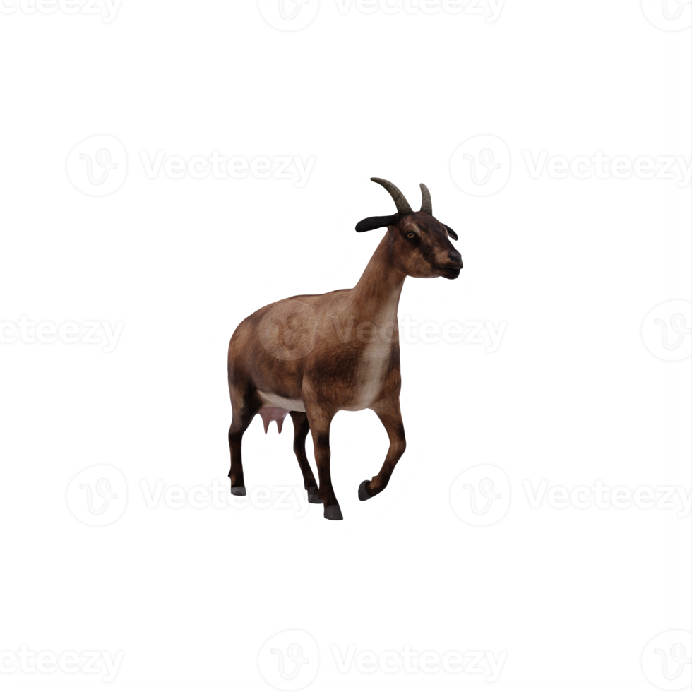 3d goat isolated png