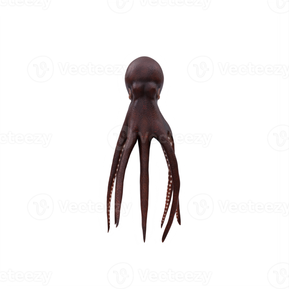 3D-Oktopus isoliert png