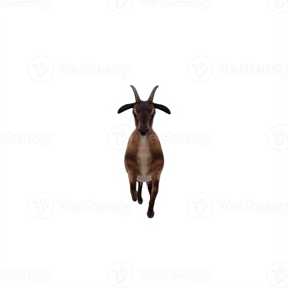 3d goat isolated png