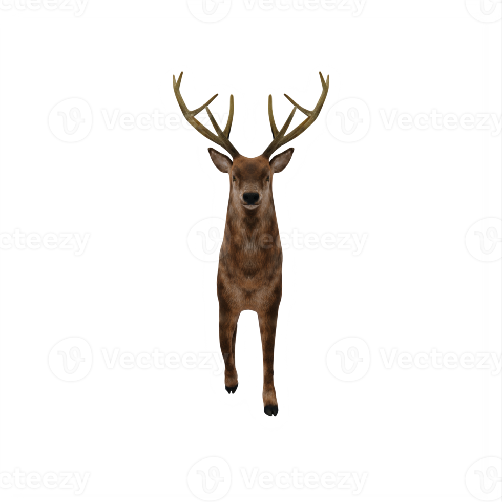 3d deer stag isolated png