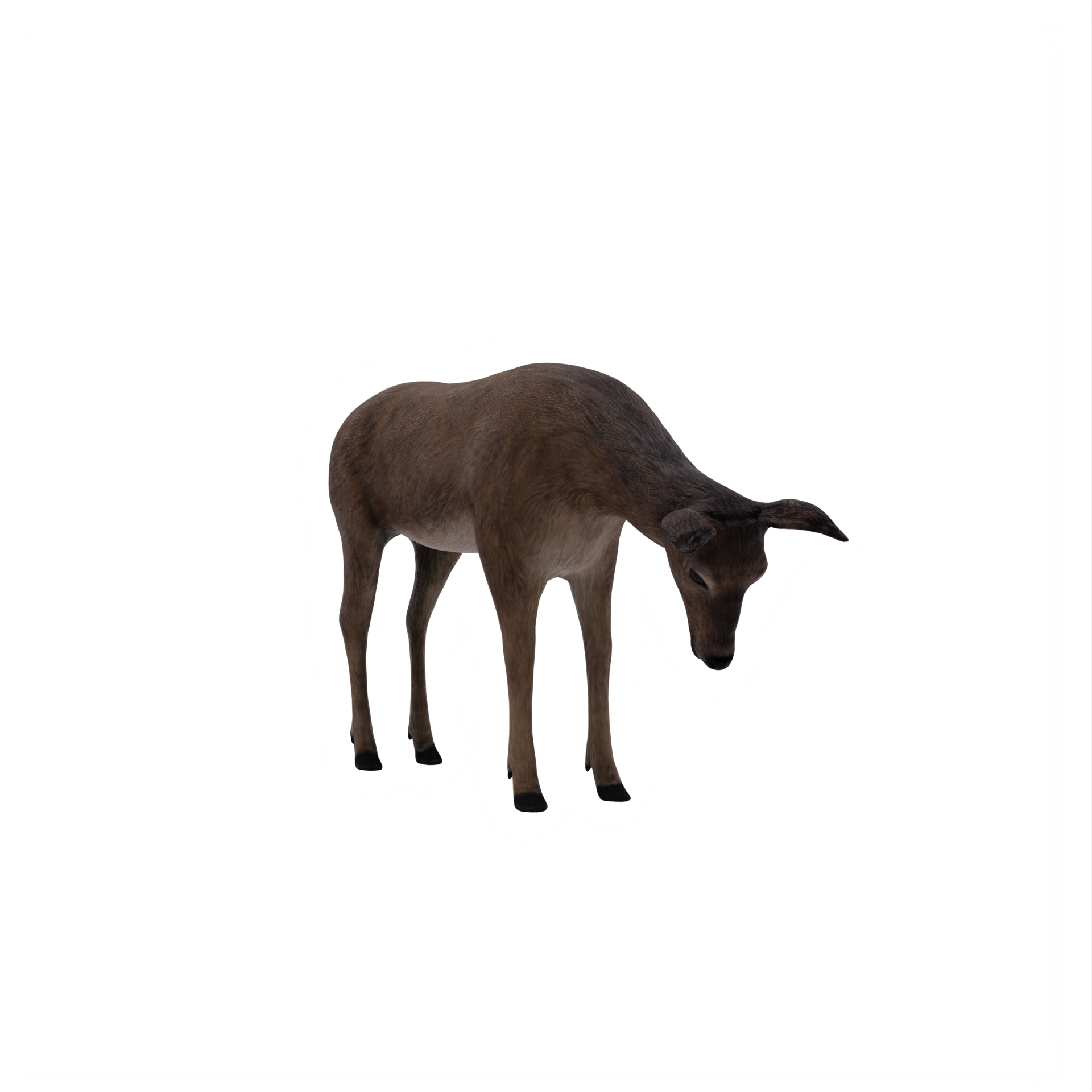 3d deer female isolated 18876184 PNG