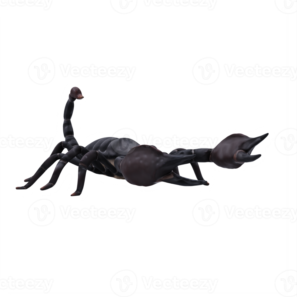 3d SCORPION isolated png