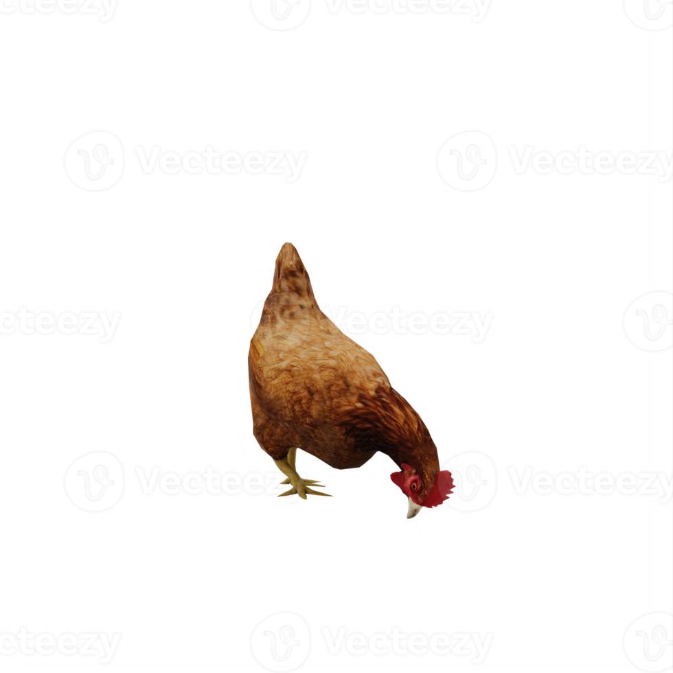 3d Chicken isolated png