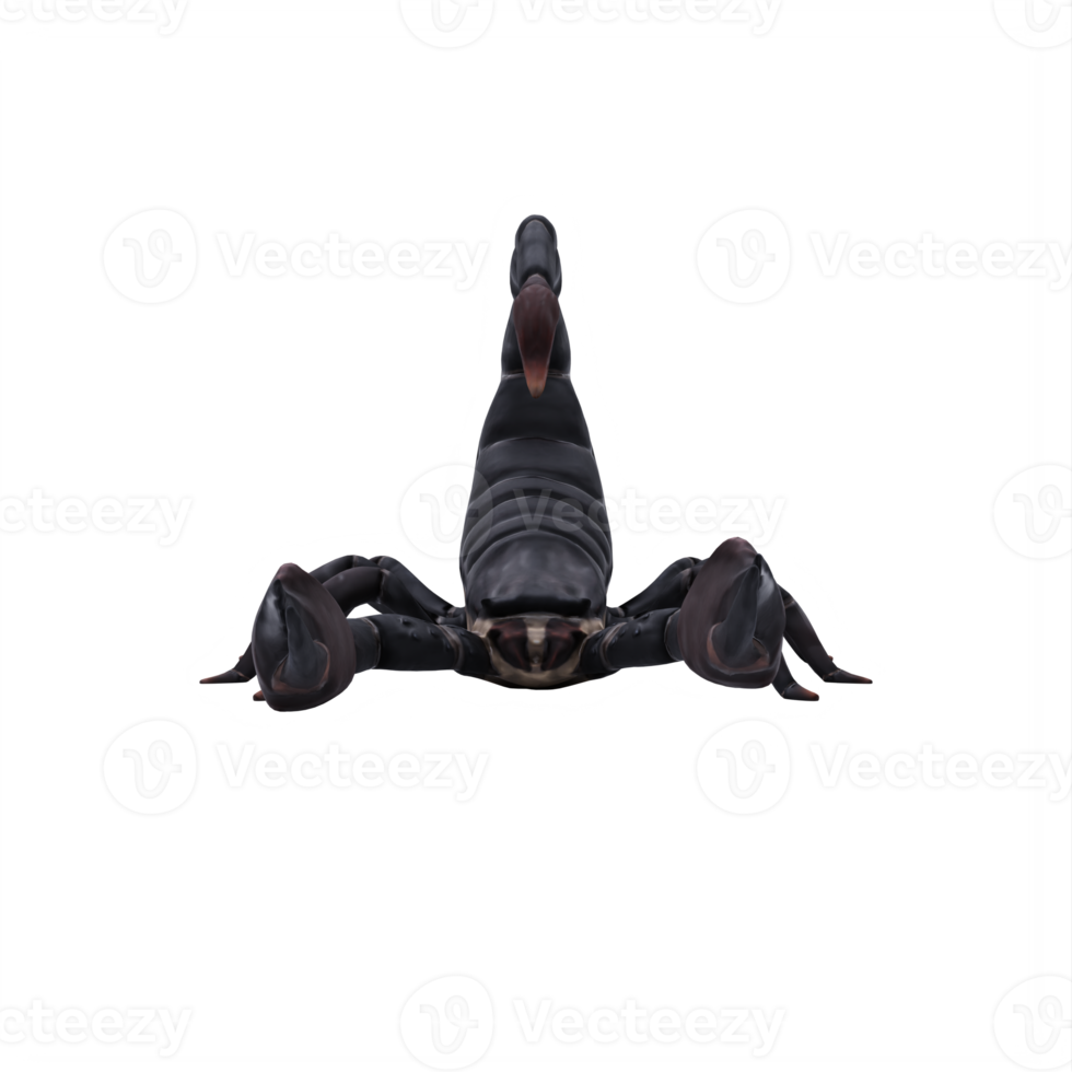 3d SCORPION isolated png