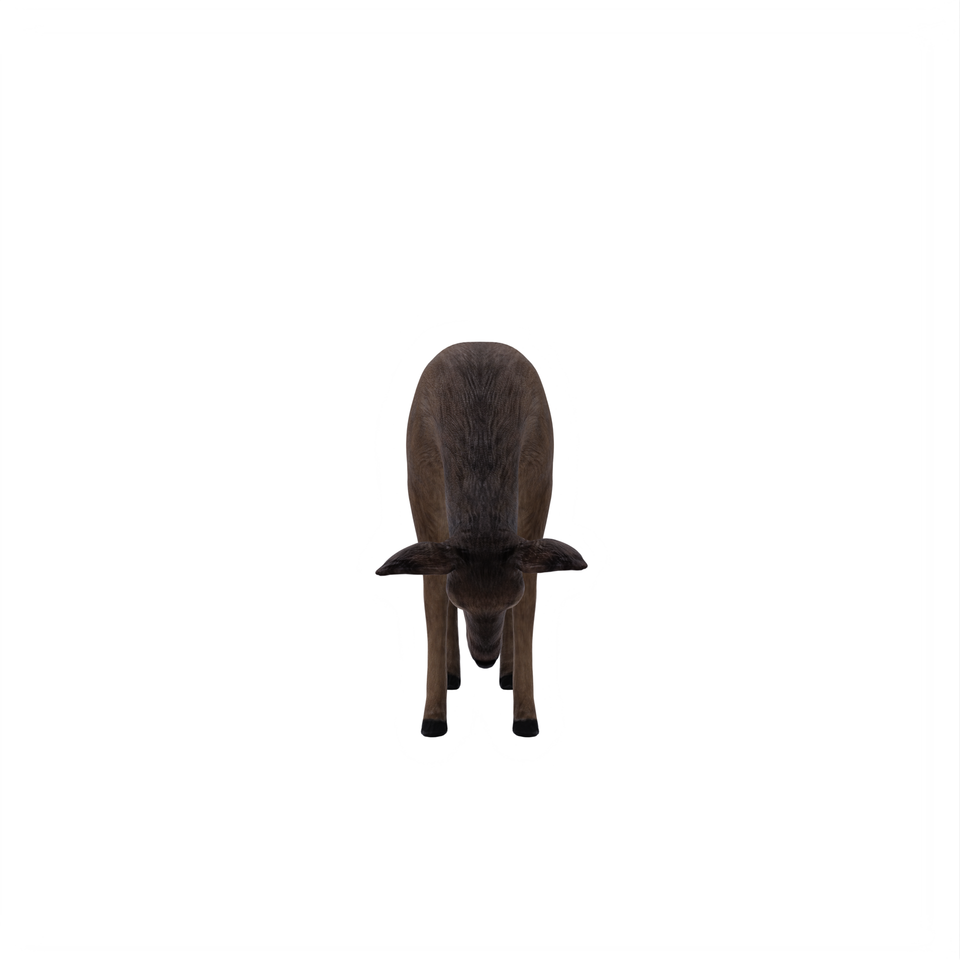 Free 3d deer female isolated 18876205 PNG with Transparent Background