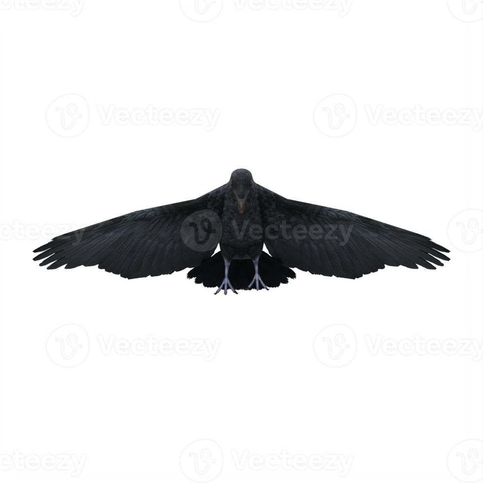 3d crow isolated png