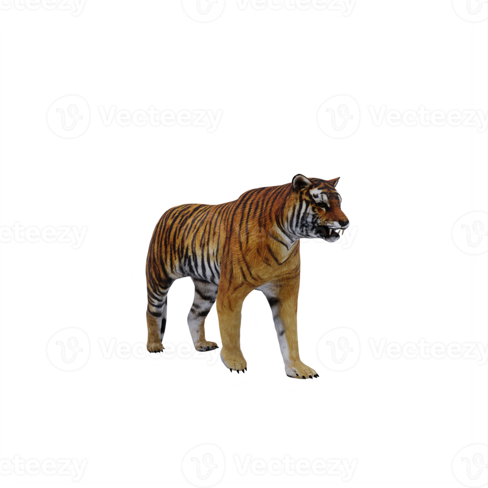 3d TIGER isolated png