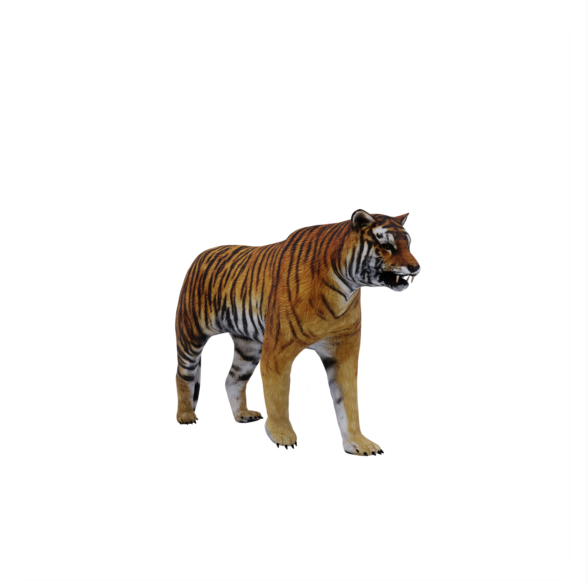 tigre 3d isolado 18875963 PNG