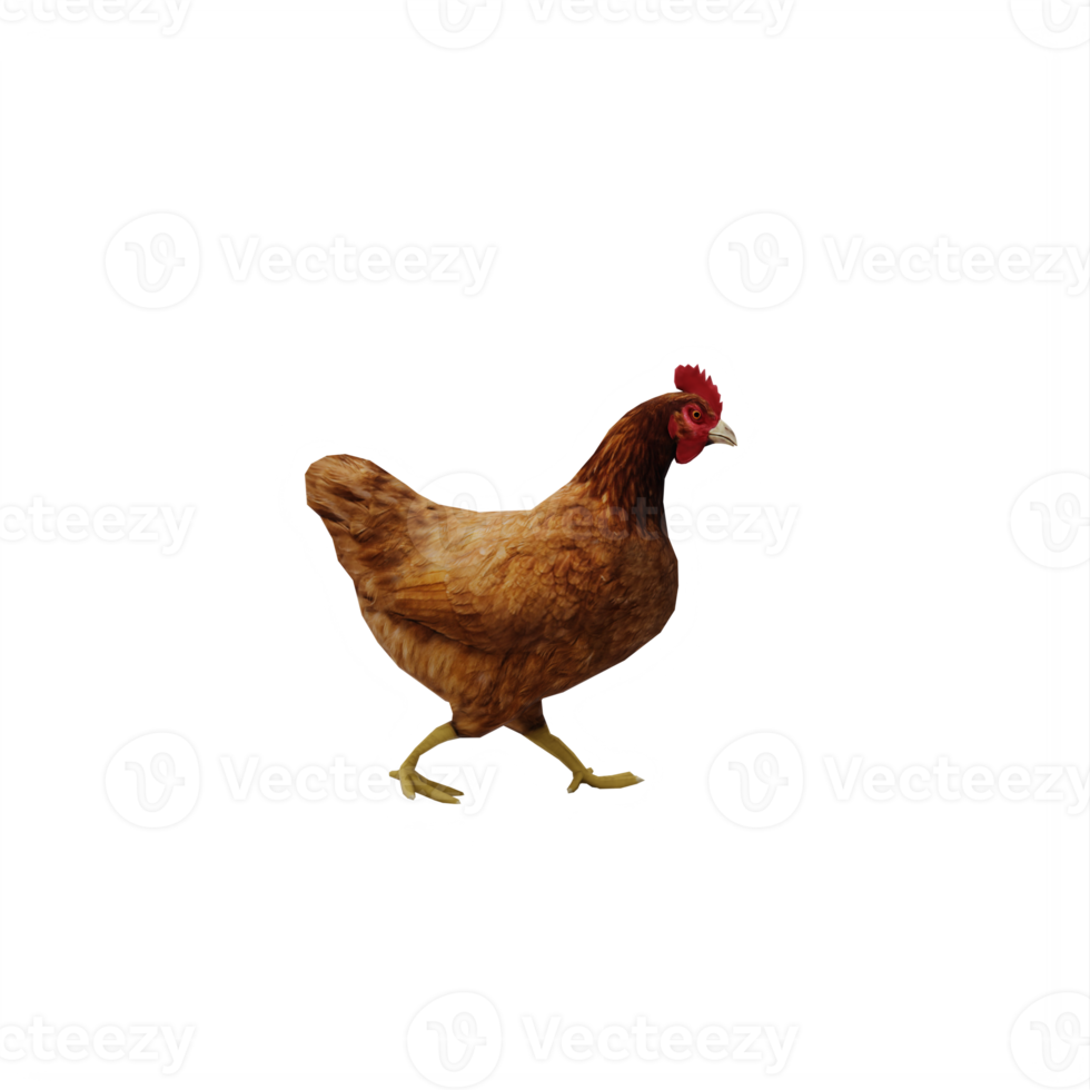3d Chicken isolated png