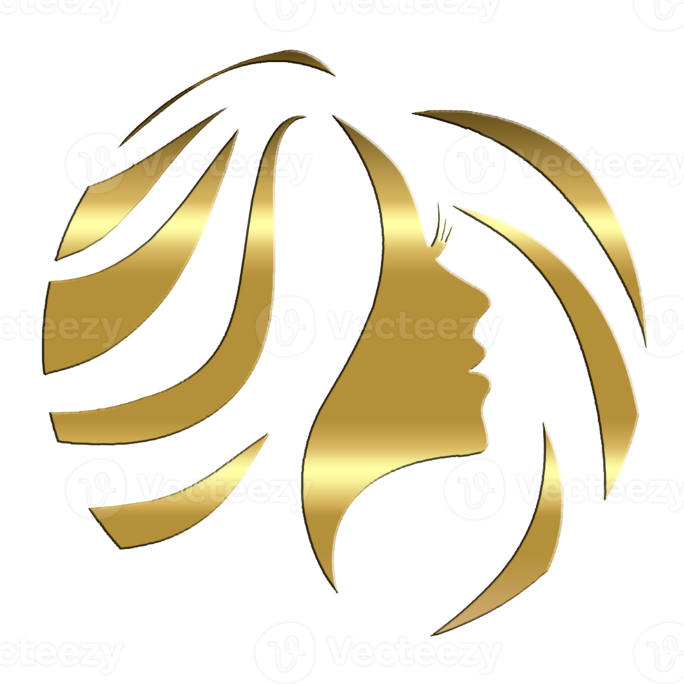 haar- salon logo goud png