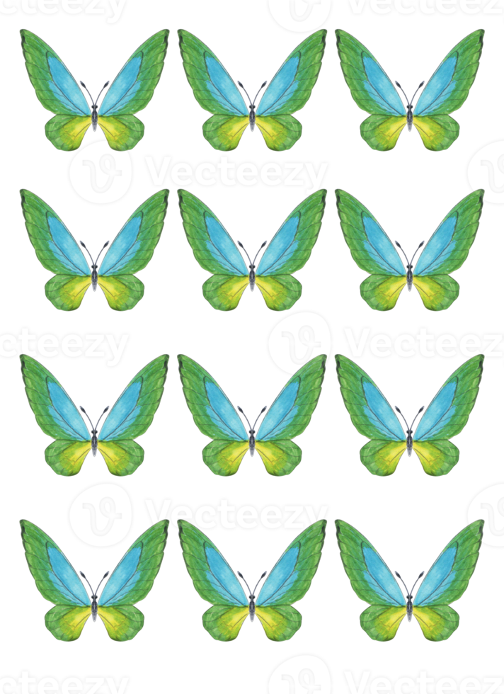 Set of butterflies for printing tropical blue-green bright png