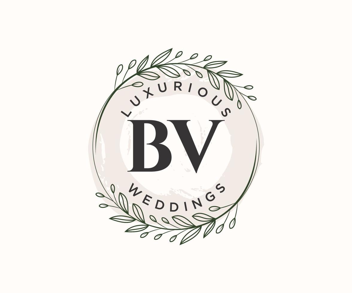 plantilla de logotipos de monograma de boda con letras iniciales bv, plantillas florales y minimalistas modernas dibujadas a mano para tarjetas de invitación, guardar la fecha, identidad elegante. vector