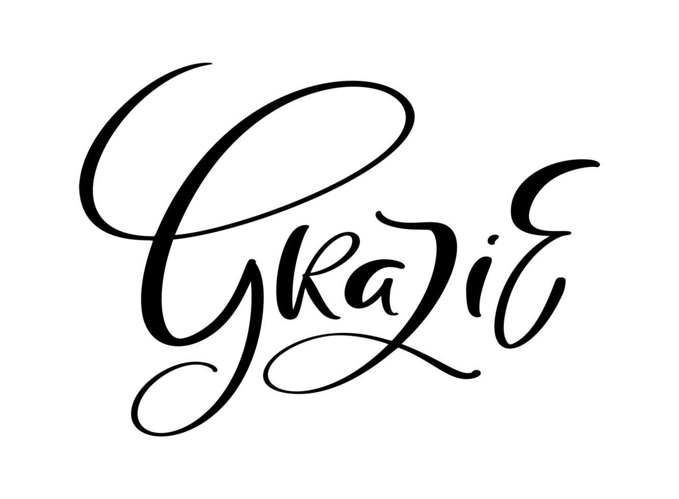 Grazie handwritten lettering text. Thank you in Italian language. Ink illustration. Modern brush calligraphy. Isolated on white background. Gratitude words for postcards vector