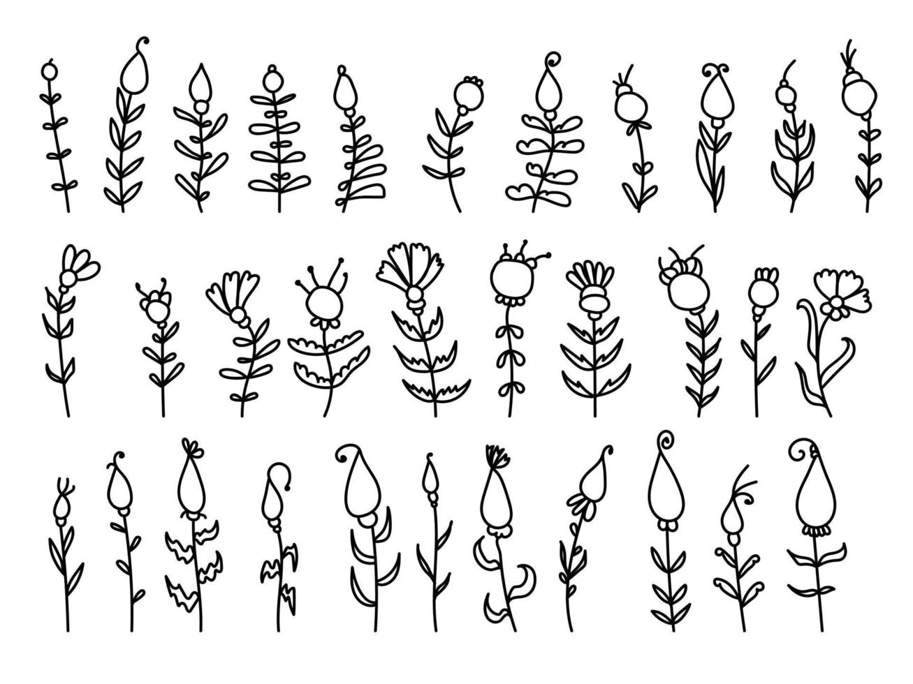 Set of linear doodle plants with flowers and berries, stylized herbs for design vector