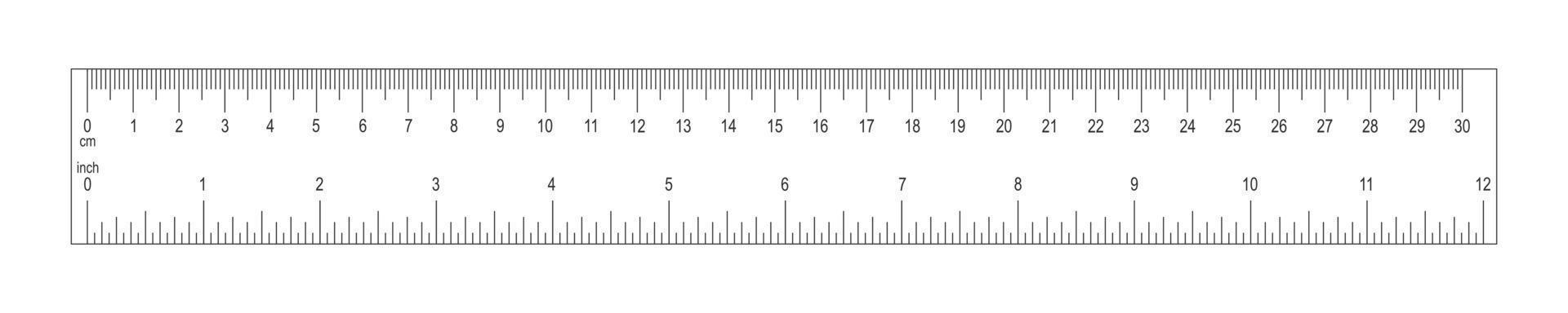 regla horizontal con escala de 30 centímetros y 12 pulgadas. tabla de medidas con marcado y números. herramienta de medición de distancia, altura o longitud vector