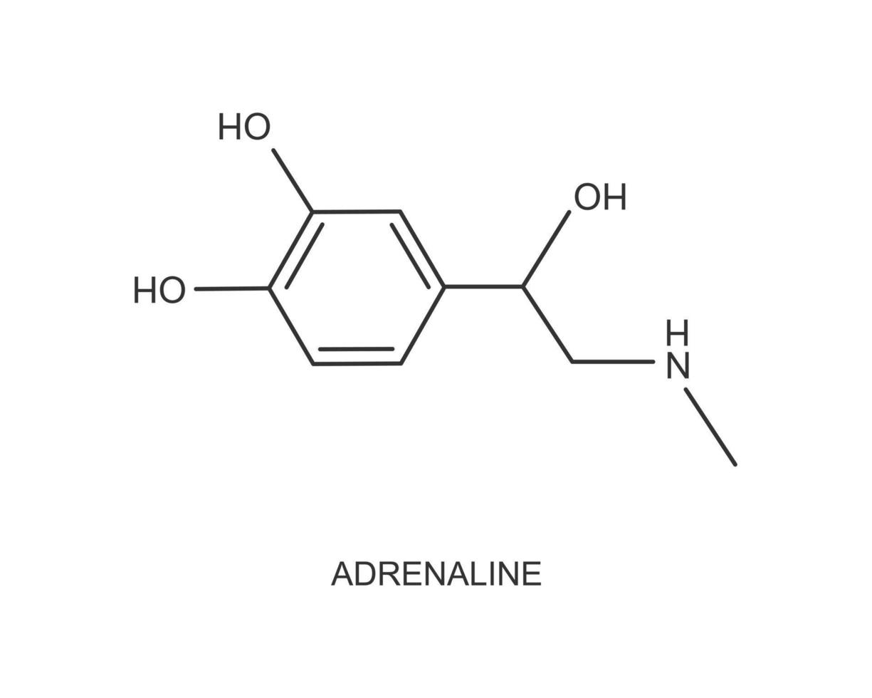 icono de adrenalina. epinefrina hormona producida por la glándula suprarrenal. estructura quimica molecular vector