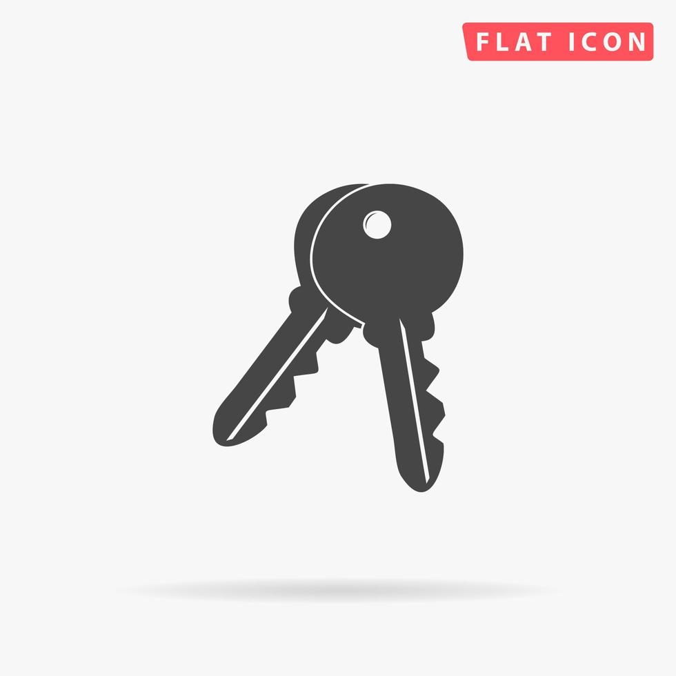 Keys - Unlock tool. Simple flat black symbol with shadow on white background. Vector illustration pictogram