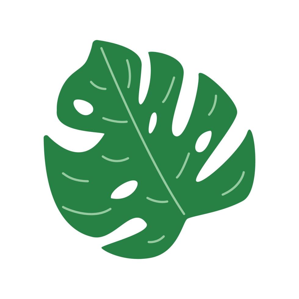 Monstera leaf, tropical jungle plant. Vector illustration in a flat style.