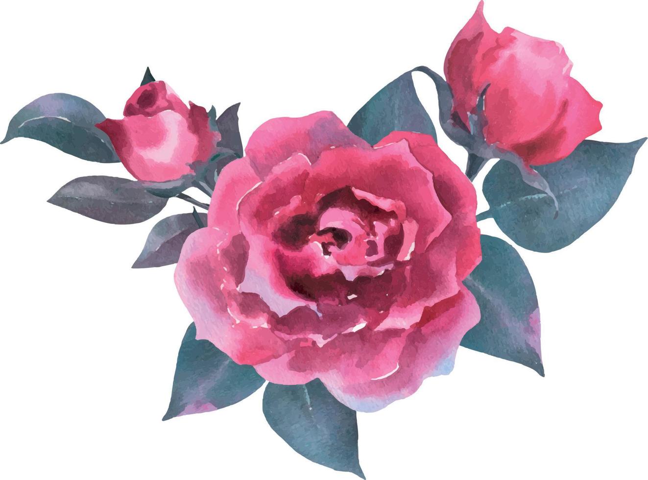 ilustración acuarela de un ramo con una rosa morada, hojas y cogollos. tarjeta de felicitación. Bueno para papel de regalo, decoración de bodas o fabricación de tarjetas. k vector