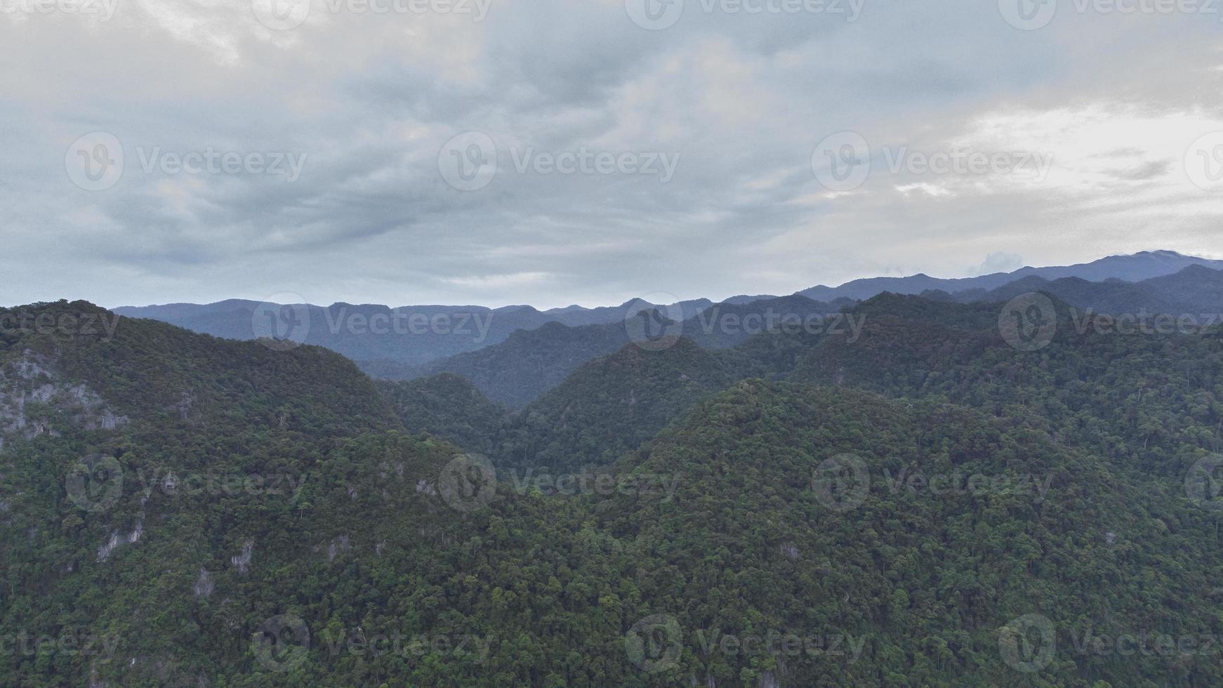 vista de ángulo alto bosque tropical foto