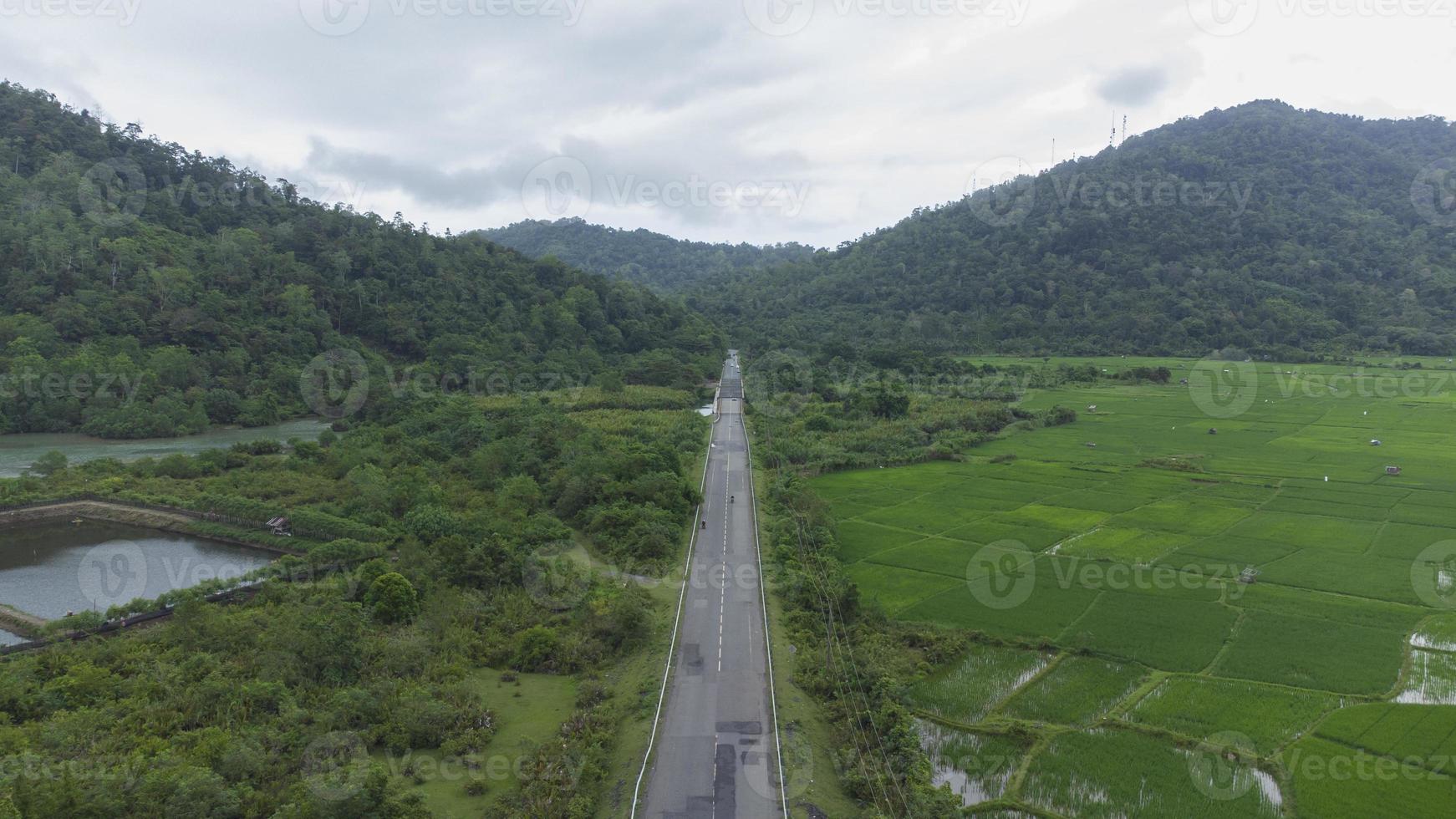 vista de ángulo alto de la carretera en medio de los campos de arroz foto