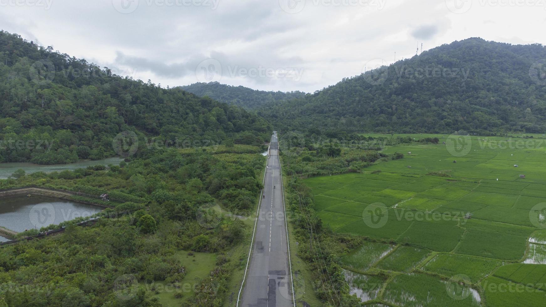 High angle view of the road in the middle of rice fields photo