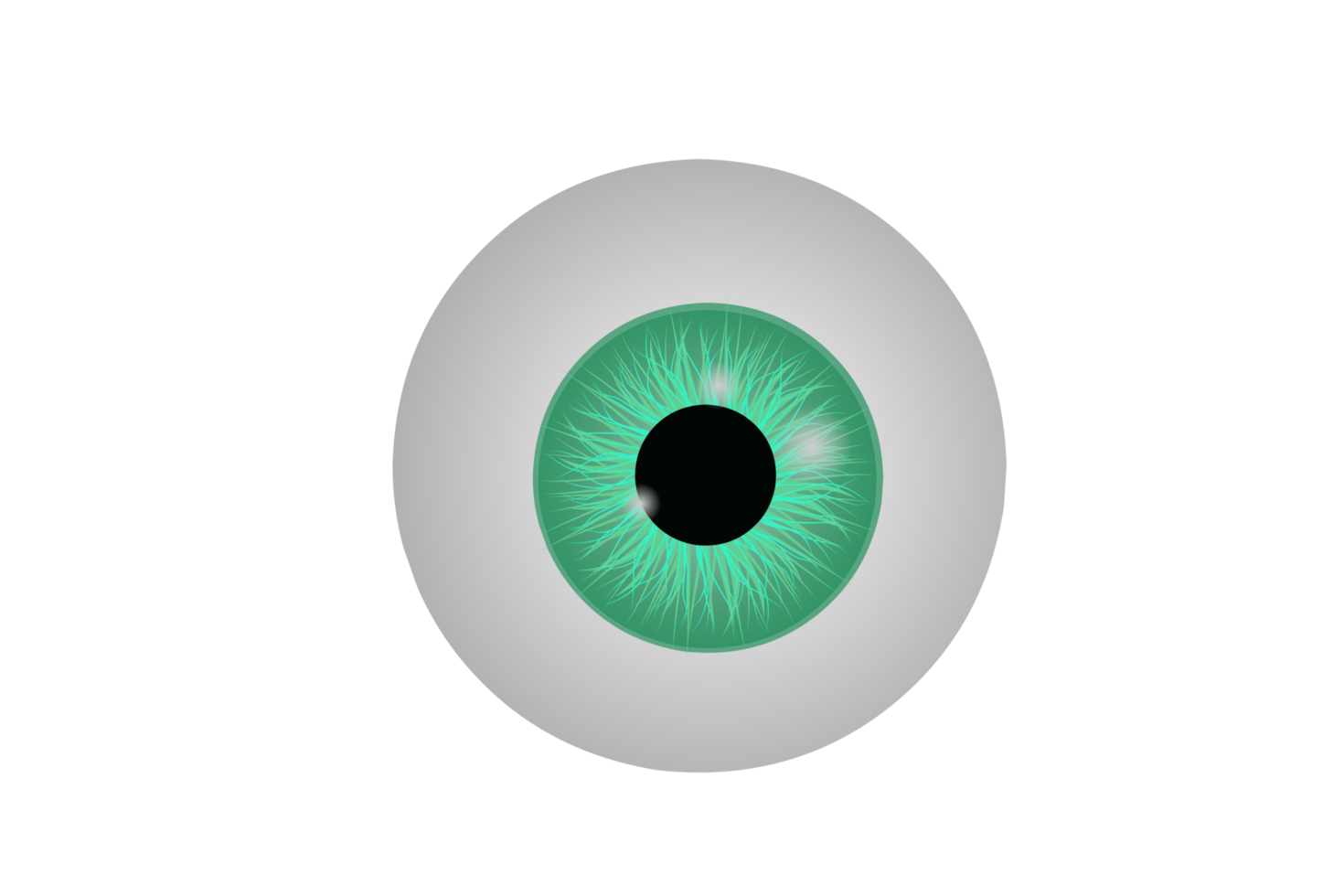 eye ball beautiful illustration png