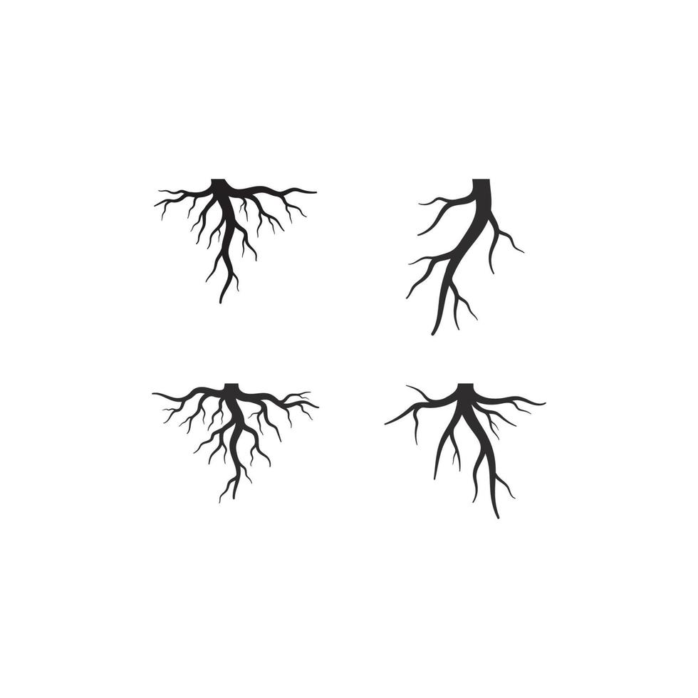 Root vector illustration template