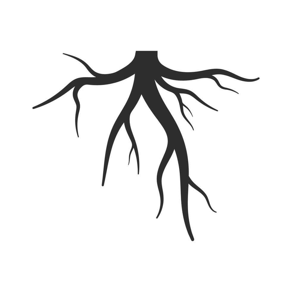 plantilla de ilustración de vector de raíz