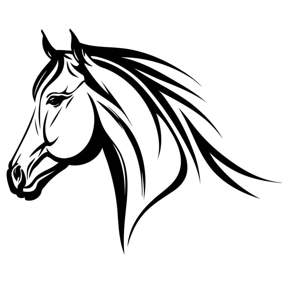 equine horse animal head vector