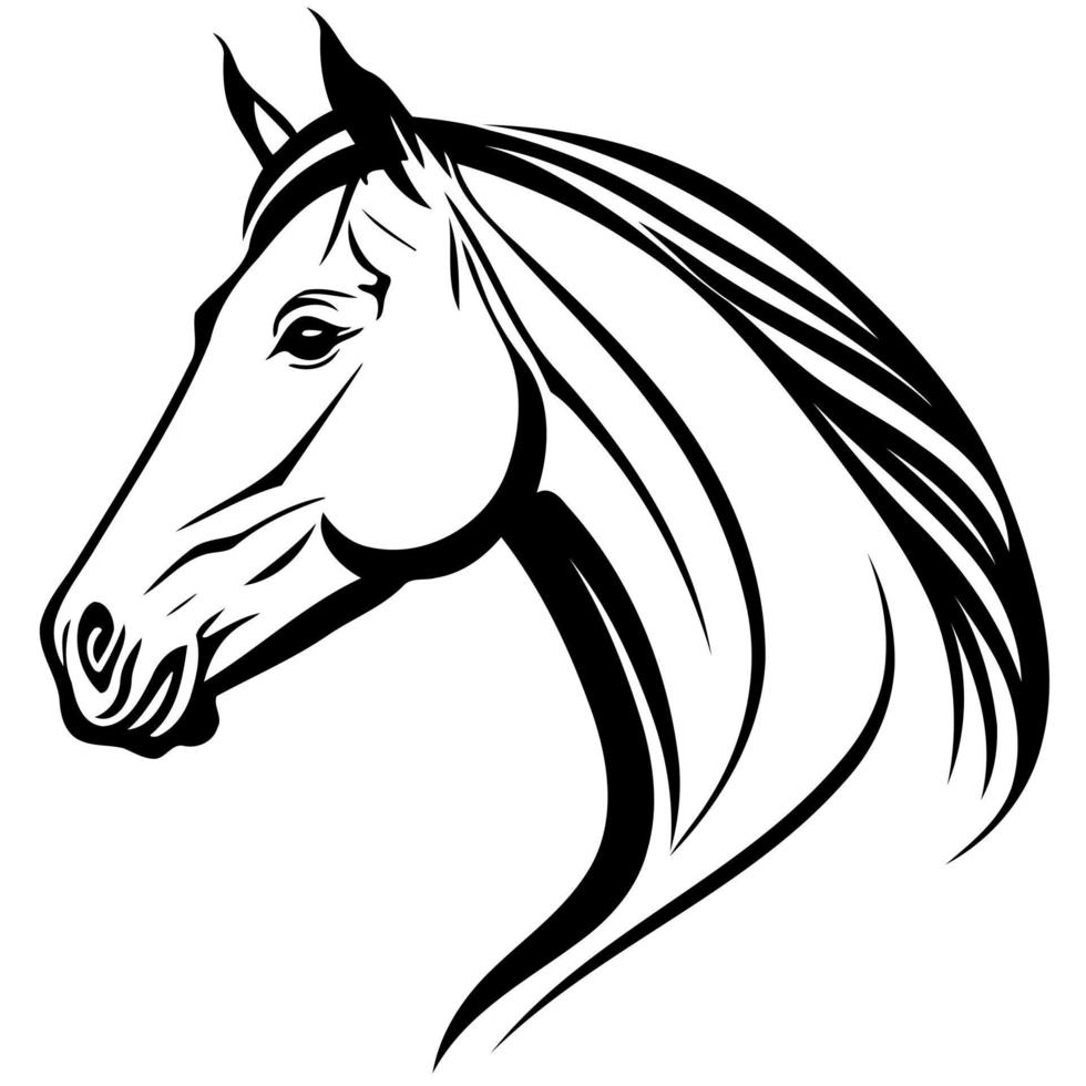 equine horse animal head vector