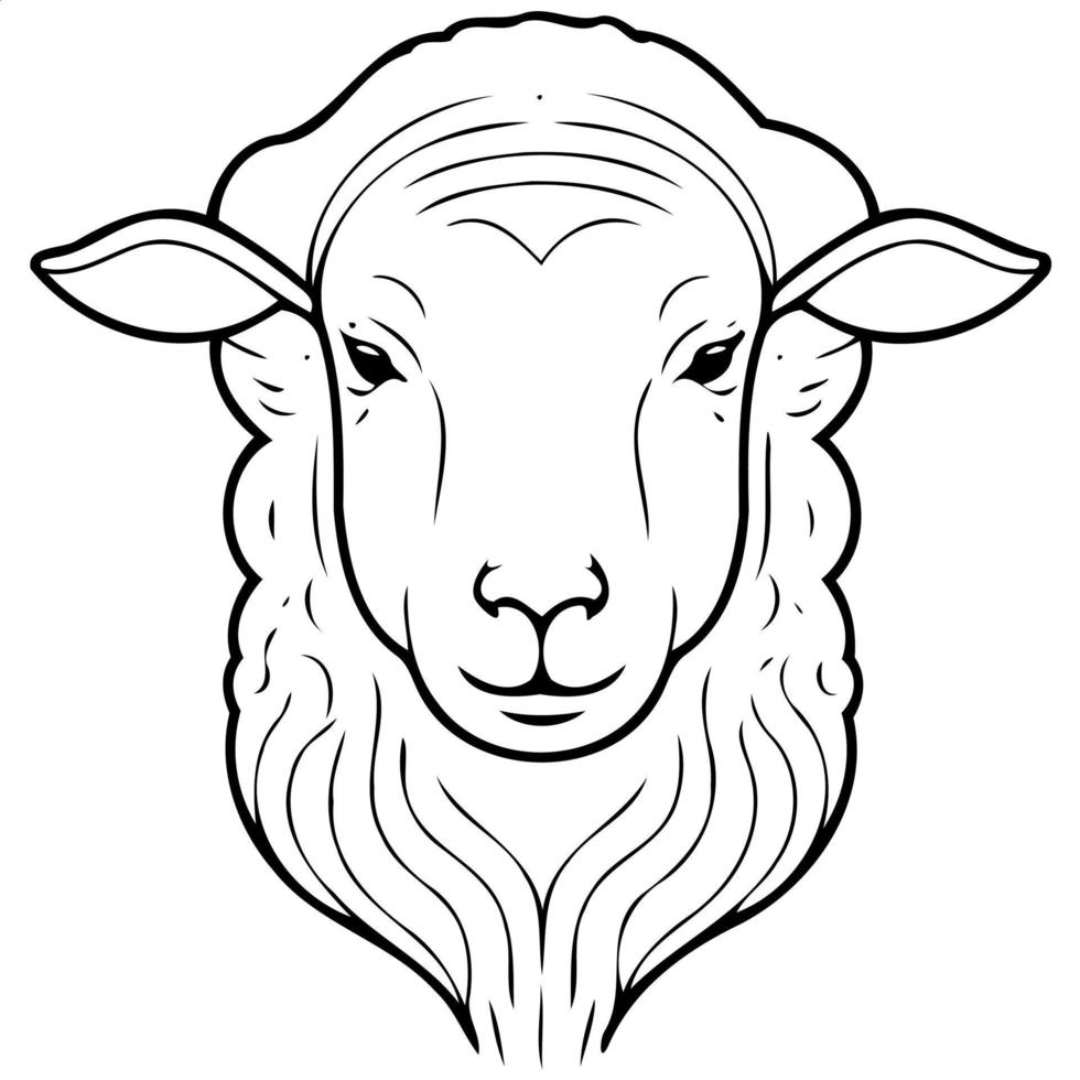 animal mammal sheep head vector