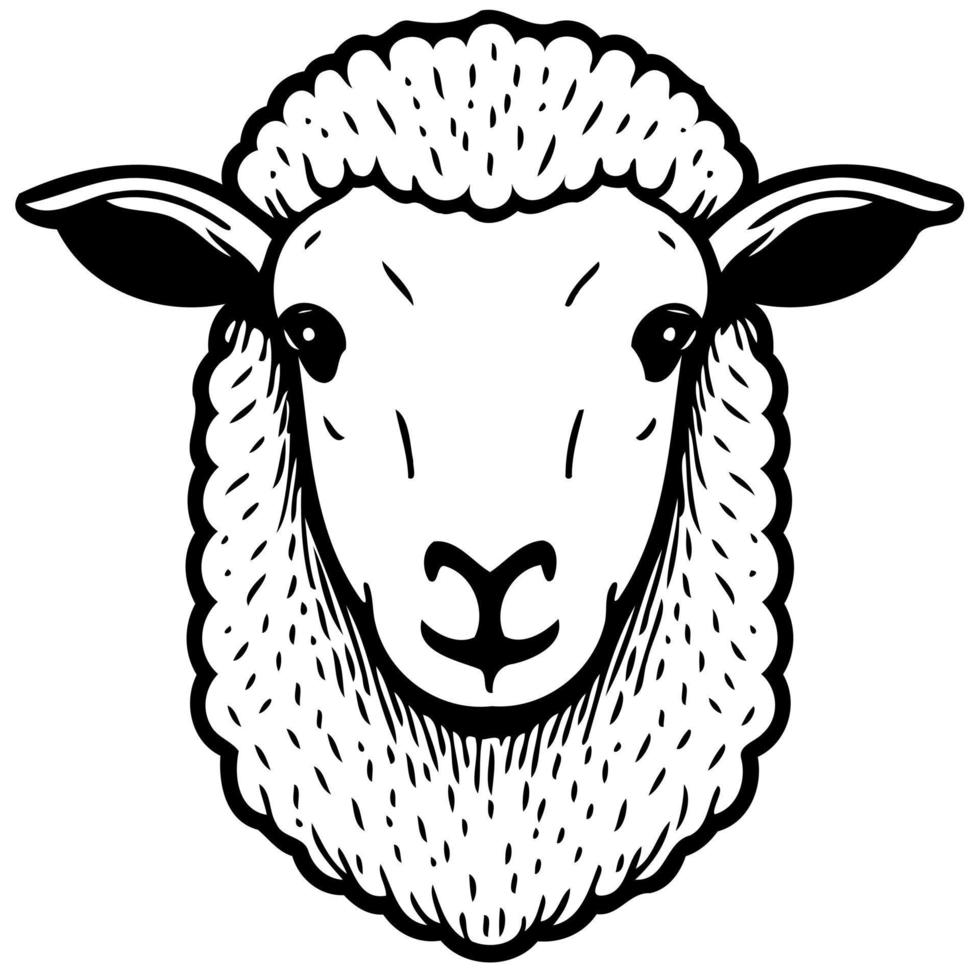 animal mammal sheep head vector