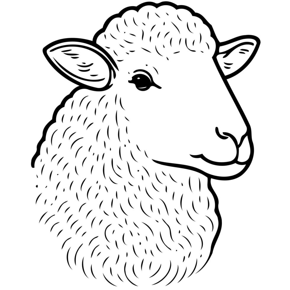 animal mammal sheep head vector