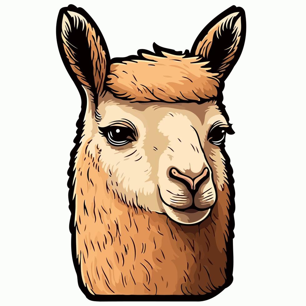 mammal animal head llama vector