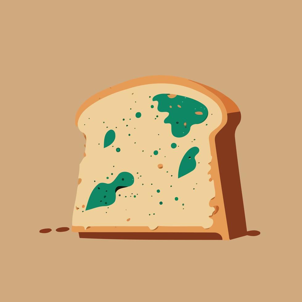 spoiled bread with mold fungus vector