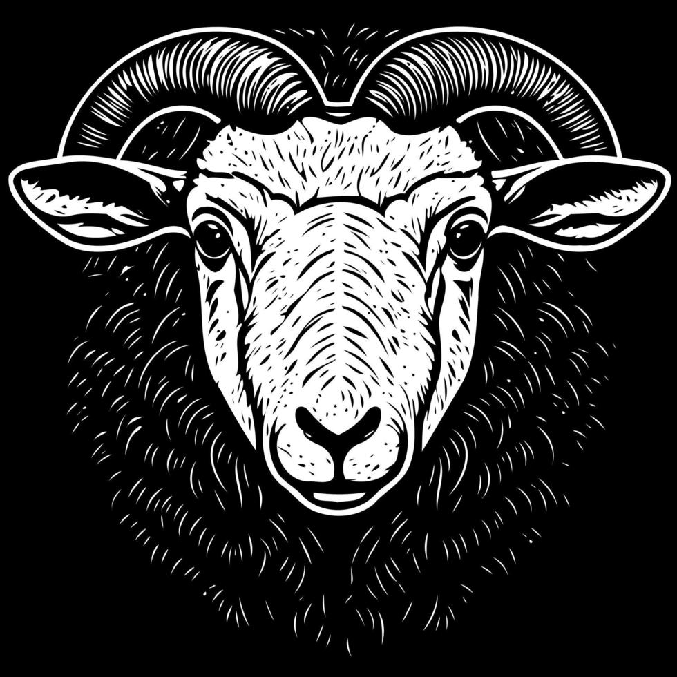 animal mammal sheep head vector