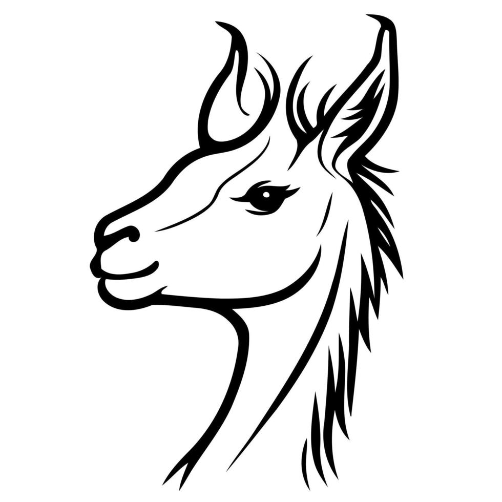 animal head domestic camelid llama vector