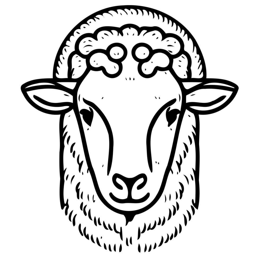 animal mammal sheep head vector