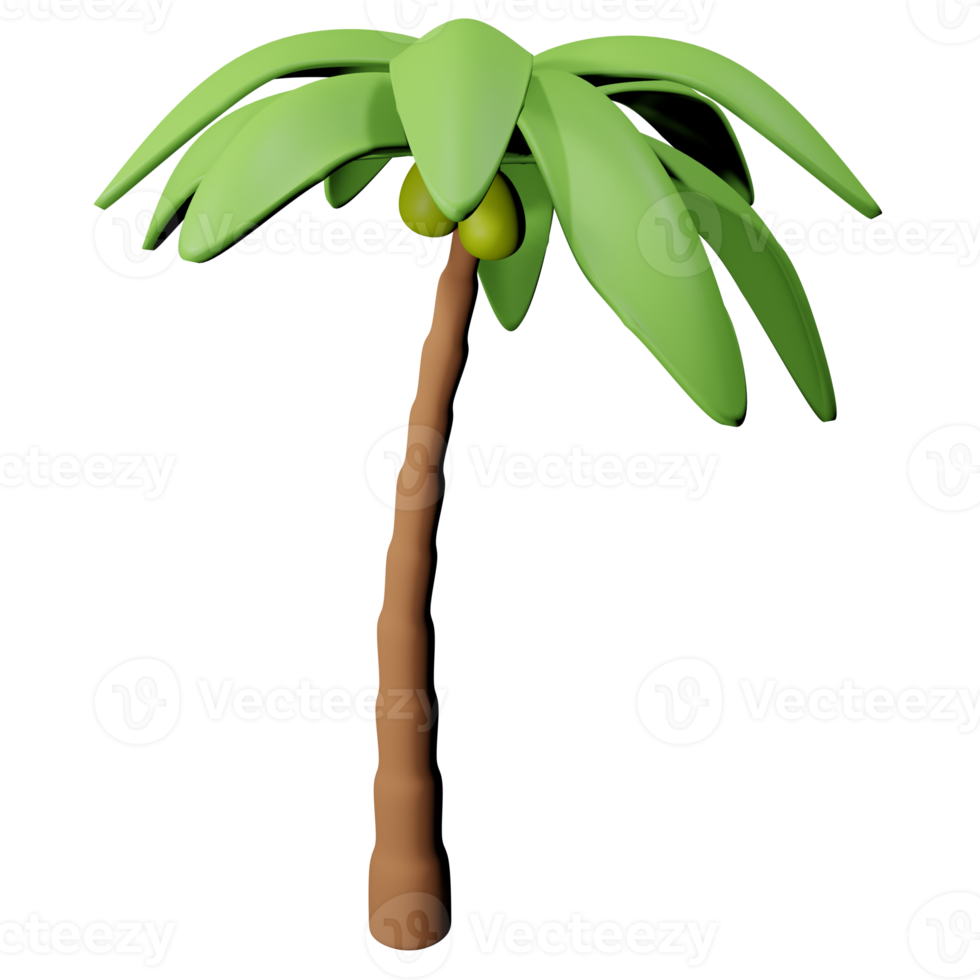 3d kokosnoot palm png