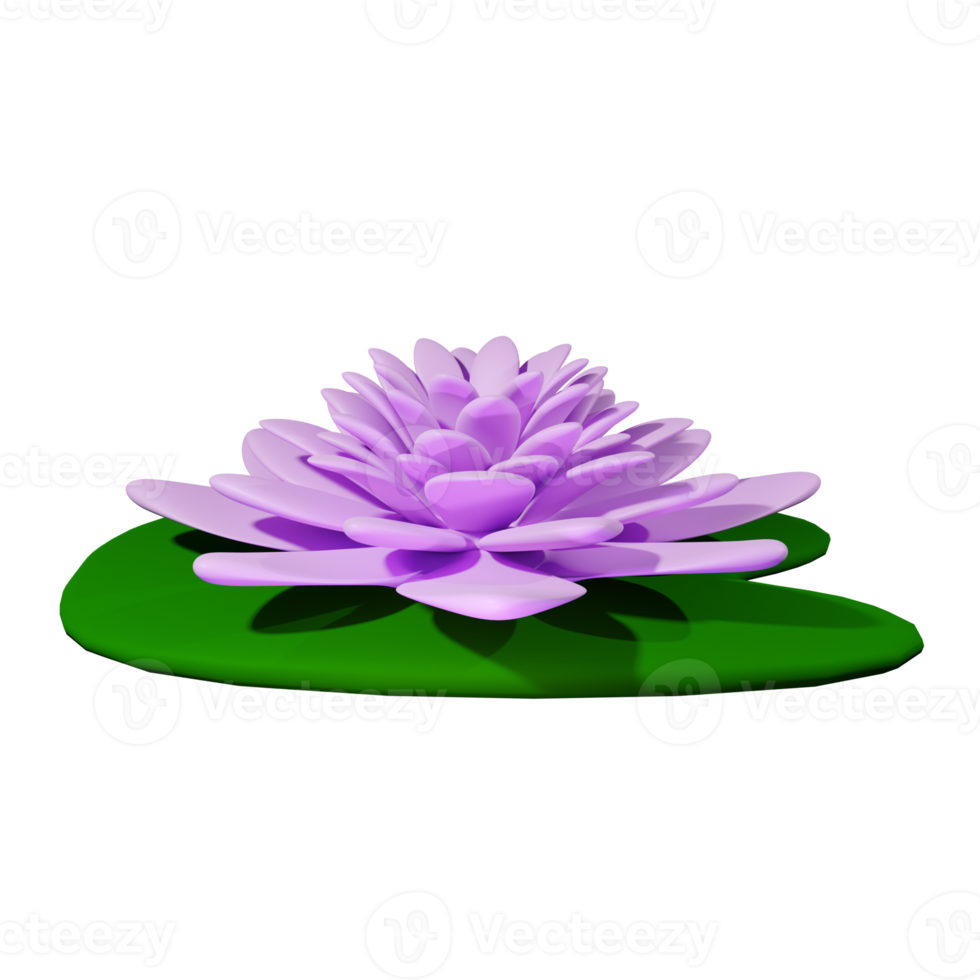 water lily 3d illustration png