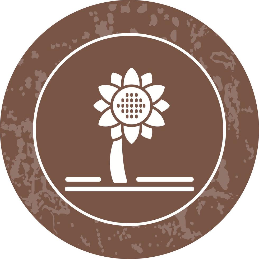 icono de vector de girasol