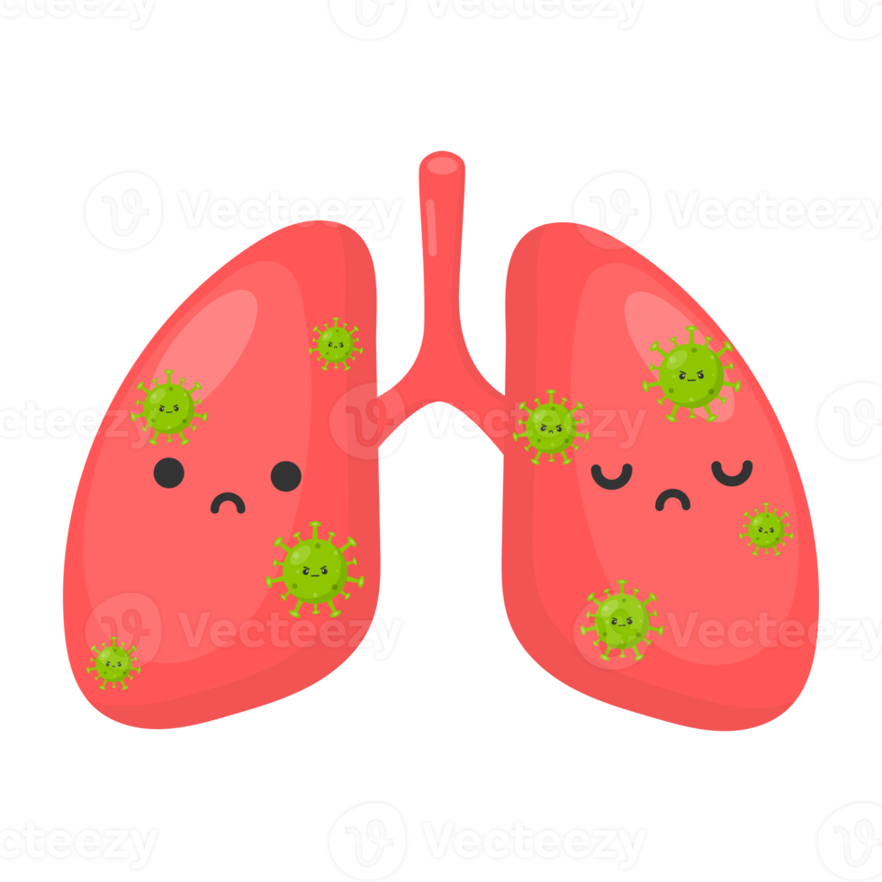 cute coronavirus or covid 19 in human lungs. png