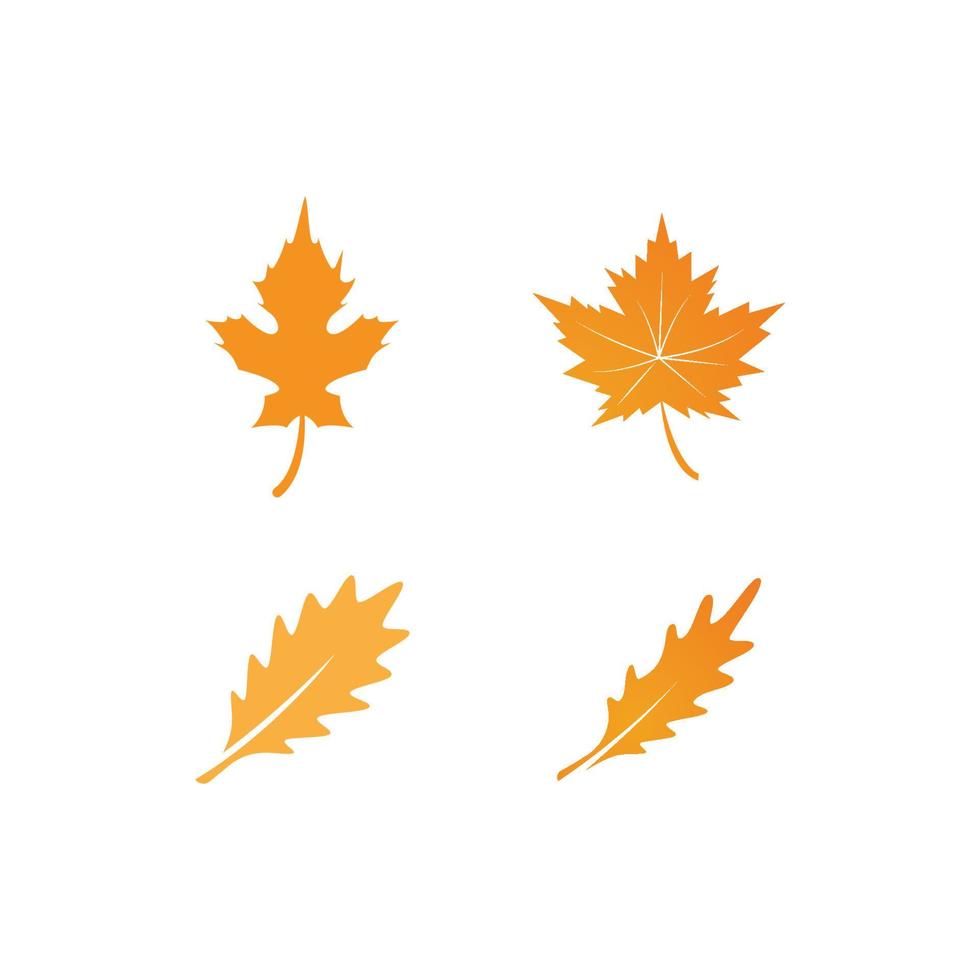 Oak Leaf Logo vector