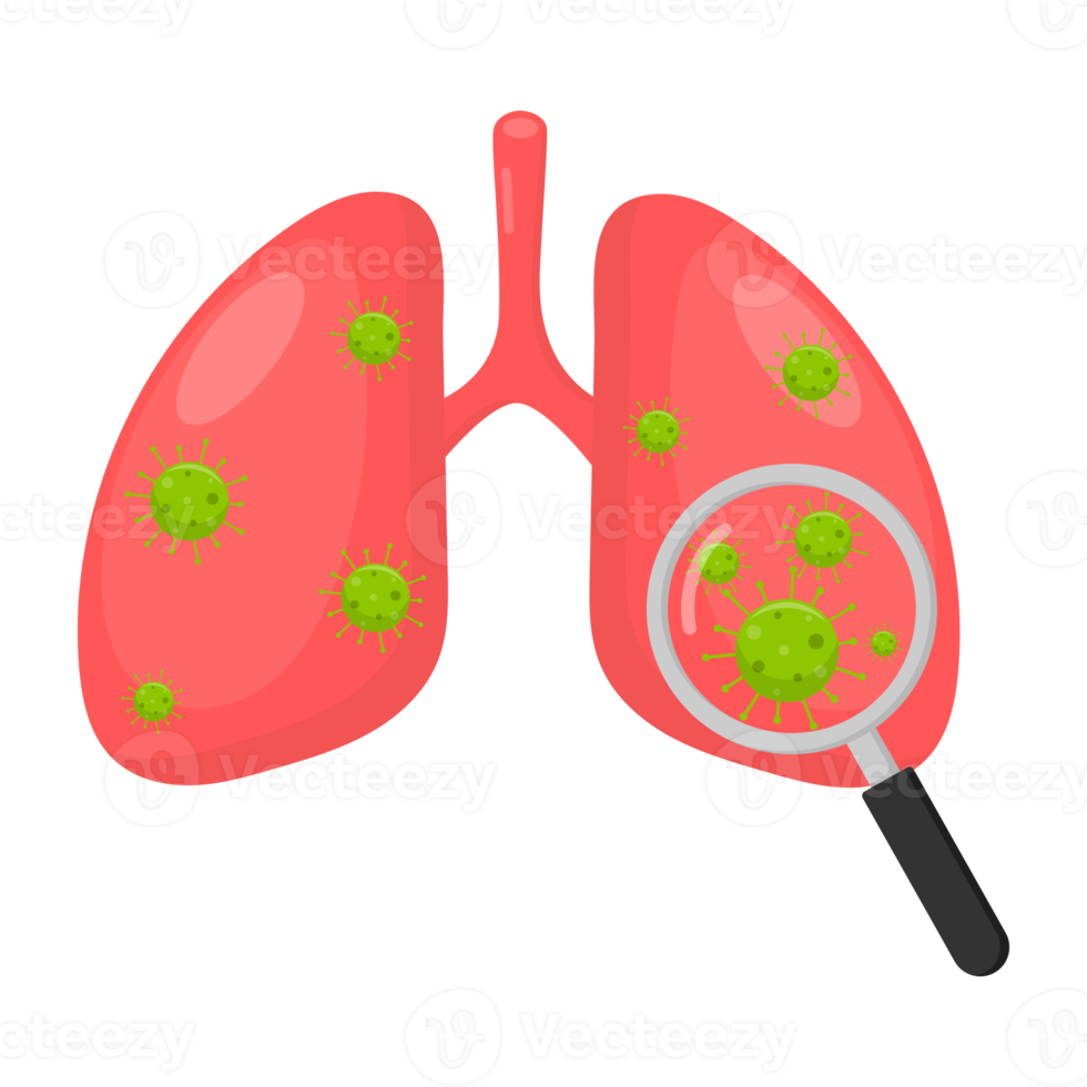 corona virus or covid 19, magnifying glass research with lungs, pandemic. png