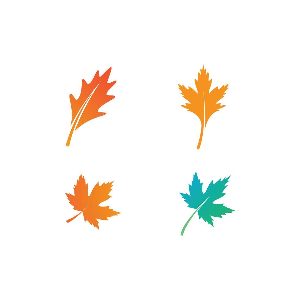 Oak Leaf Logo vector