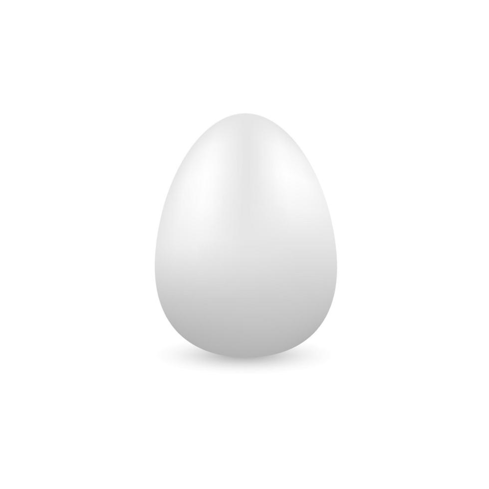 White egg on a white background vector