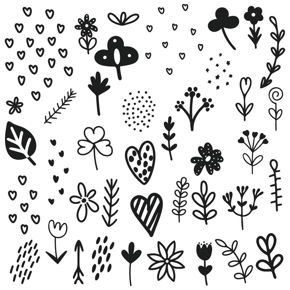 Hand drawn botany design elements in doodle style vector