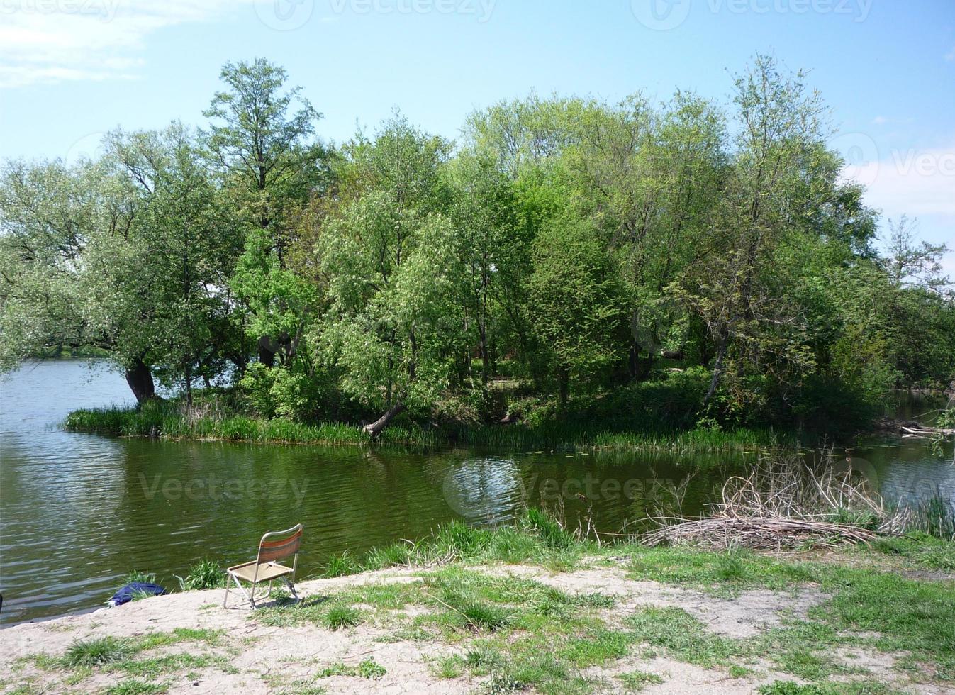 summer landscape of the river bank with green trees, background, wallpaper photo