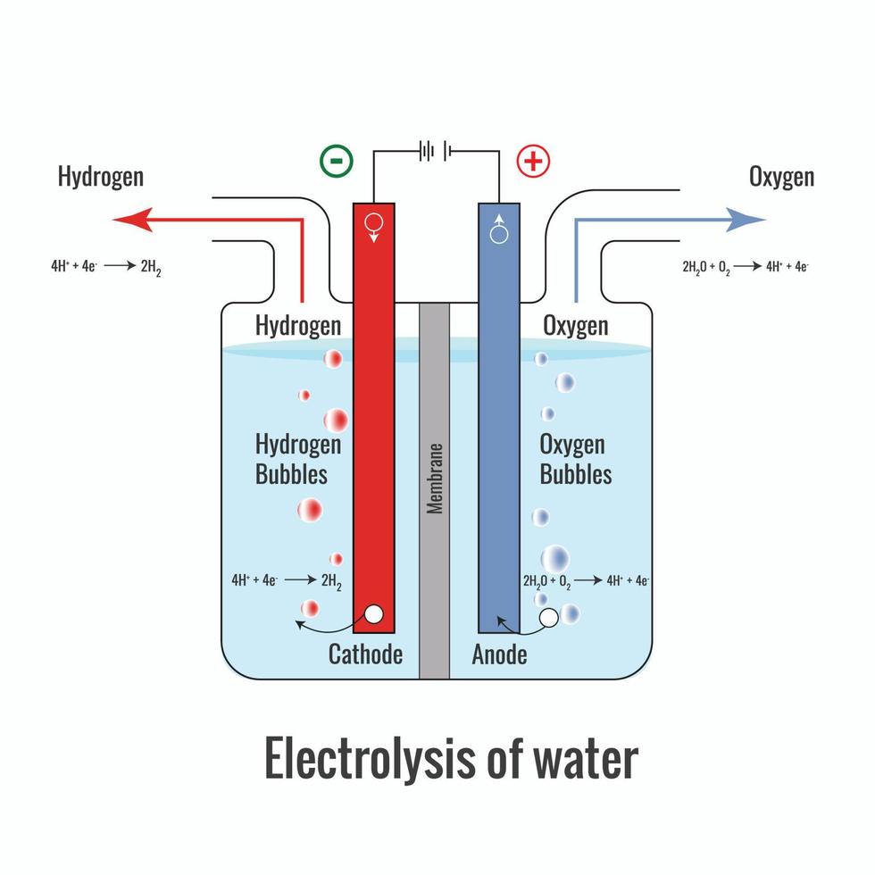 Electrolysis of water forming Hydrogen and Oxygen vector illustration